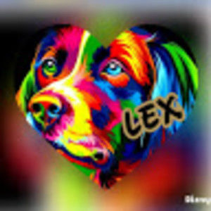 Meet your Posher, Kayani